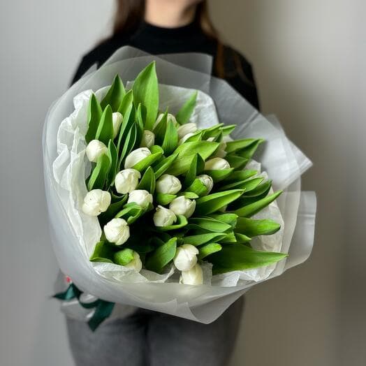 Букет из 25 белых тюльпанов