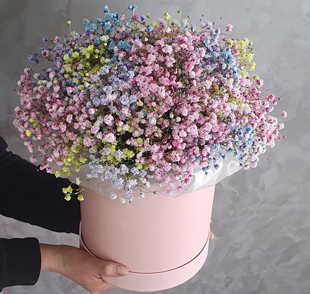 Шляпная коробка из 11 гипсофил