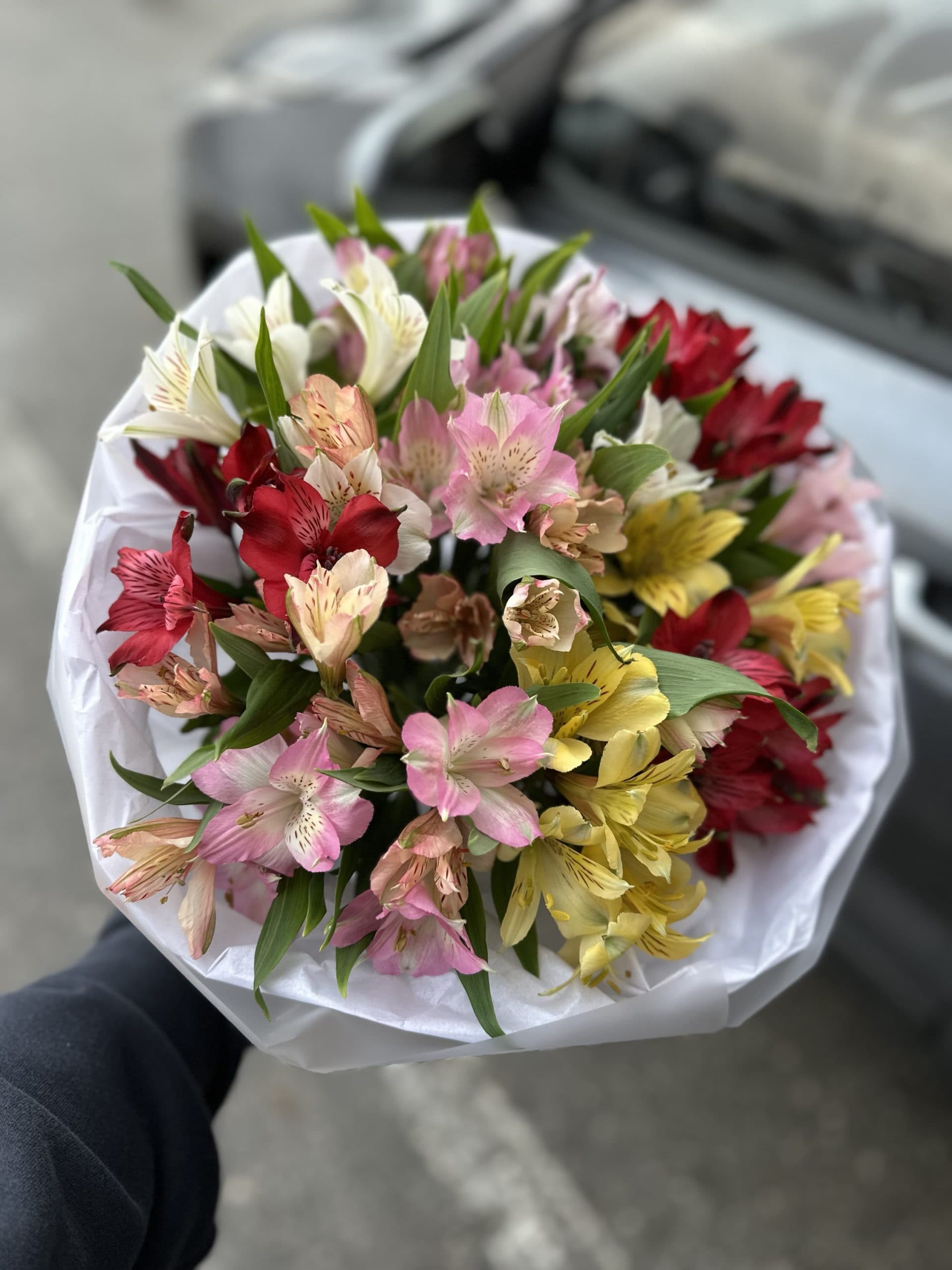 Букет из 15 альстромерий