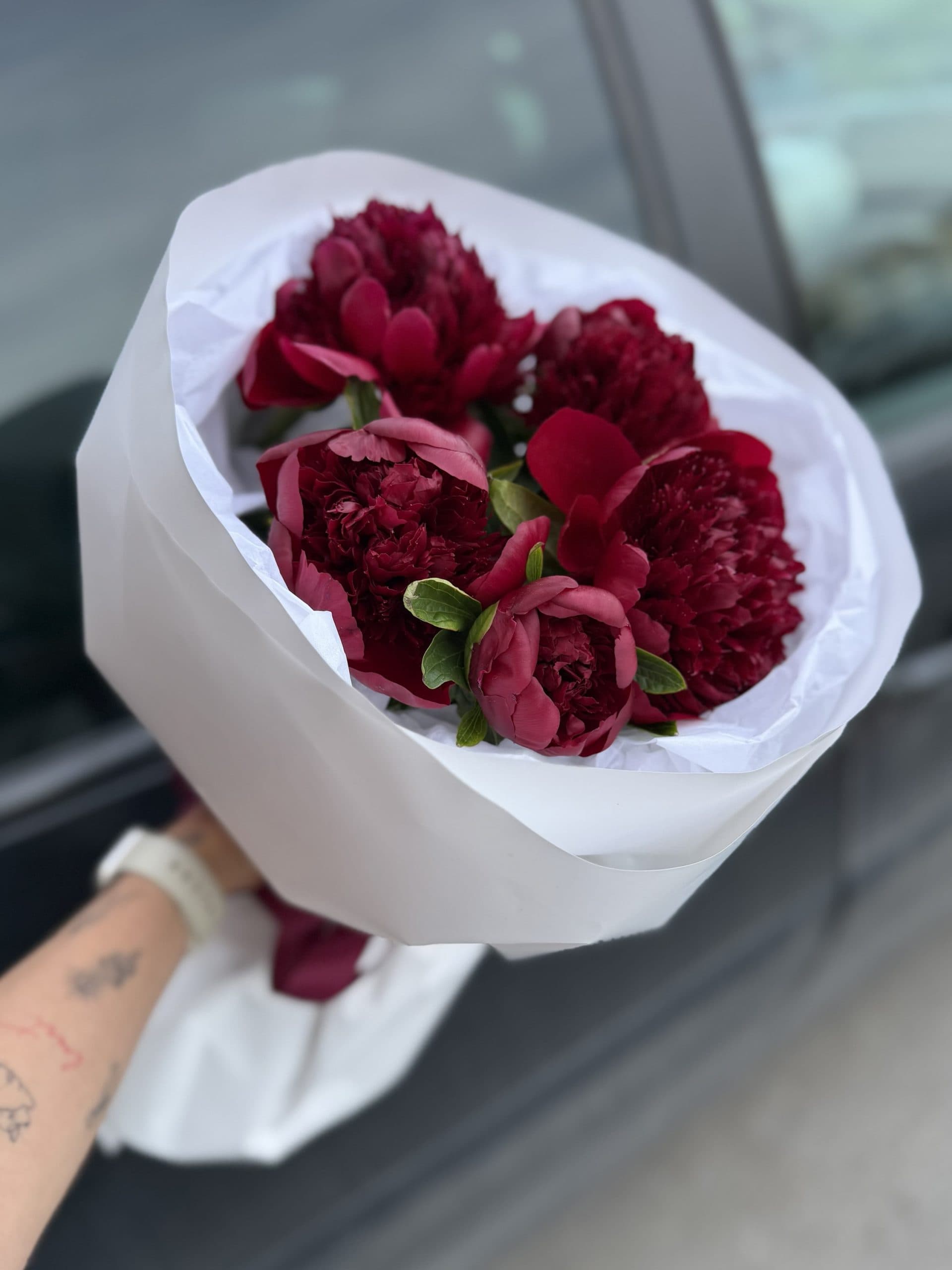 Букет из 5 бордовых пионов