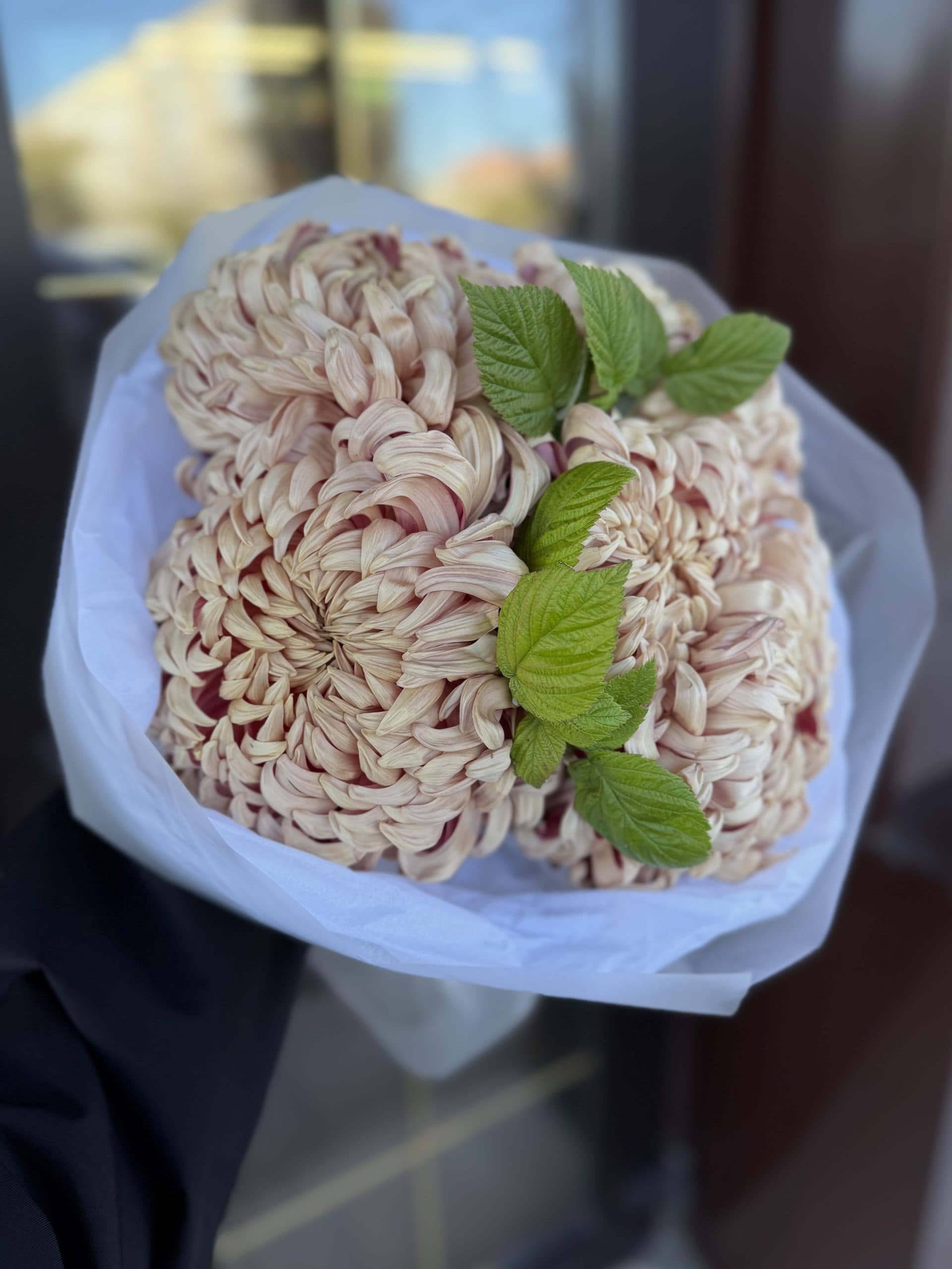 Букет из хризантем Виена