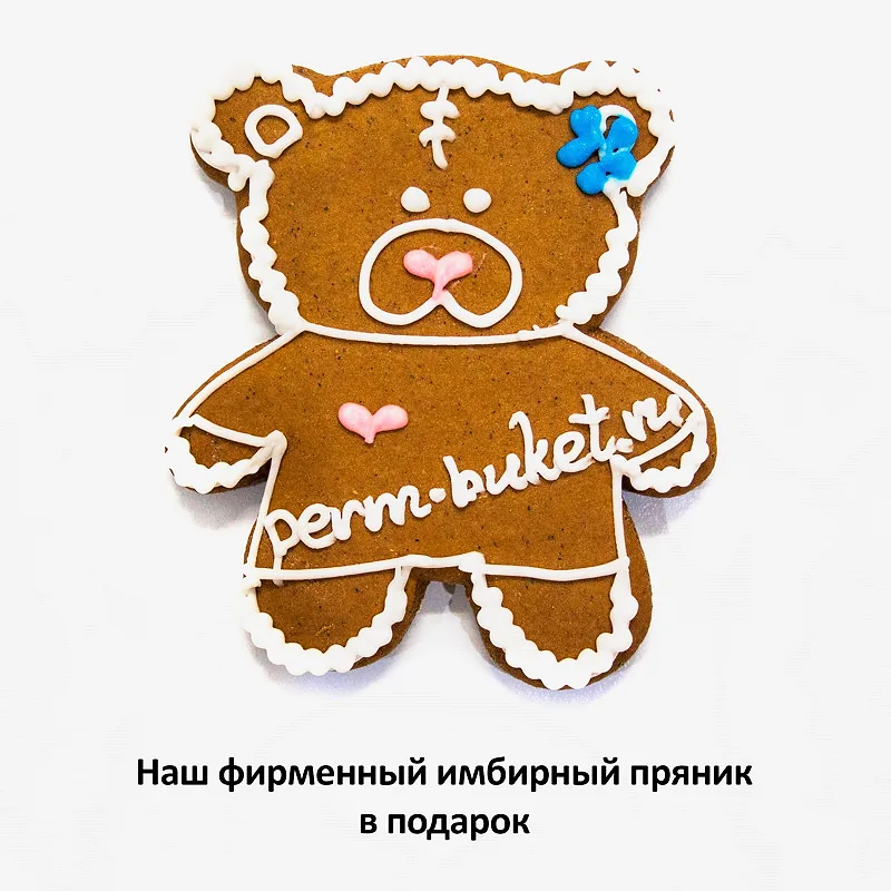 Мягкая игрушка ДуRашки Белка-Летяга 24 см в коробке