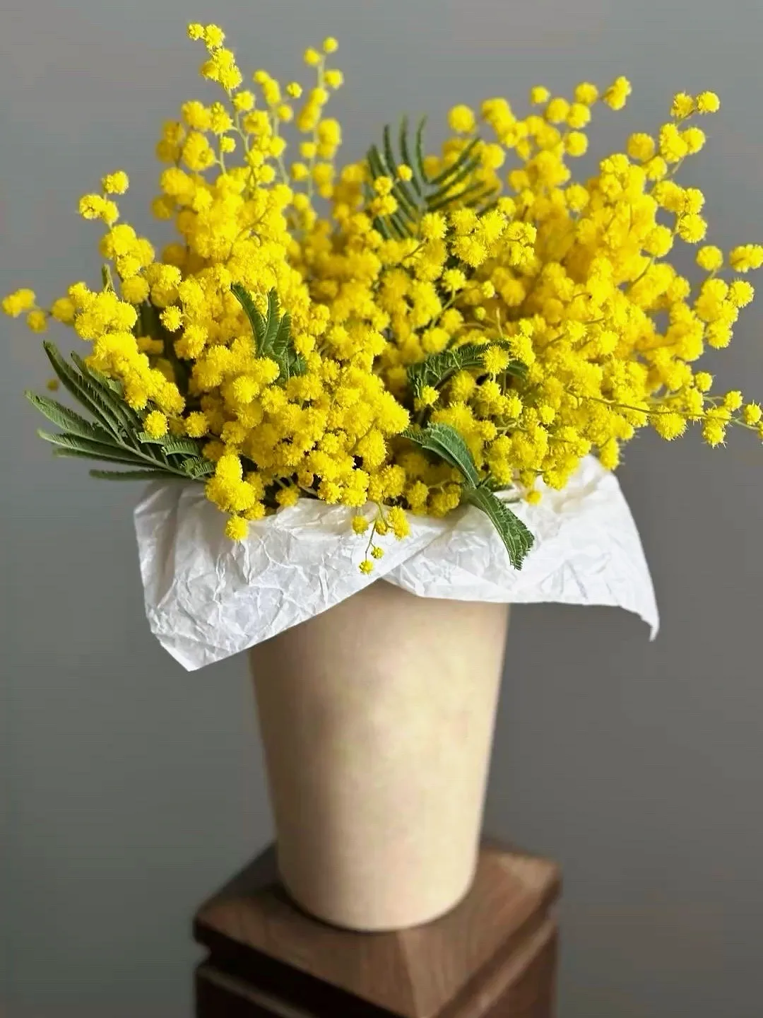 Стаканчик мимозы
